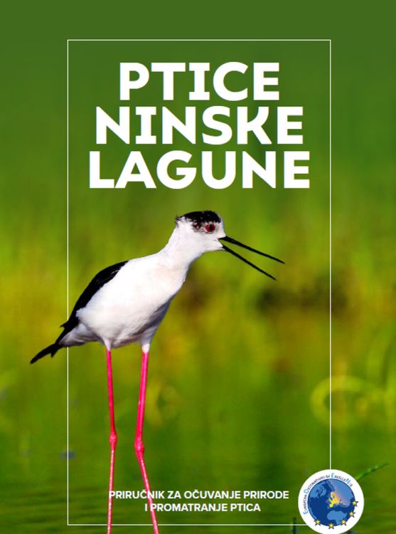 Slika /2020_bd/Ptice Ninske lagune.jpg